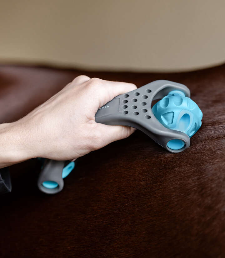 WALDHAUSEN Health + Care Relax Roller